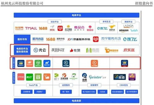 从“阿里系光环”到“全域赛道” SaaS第一股光云科技如何打破成长天花板？